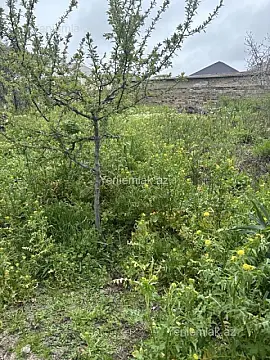 Satılır torpaq sahəsi — Sumqayıt