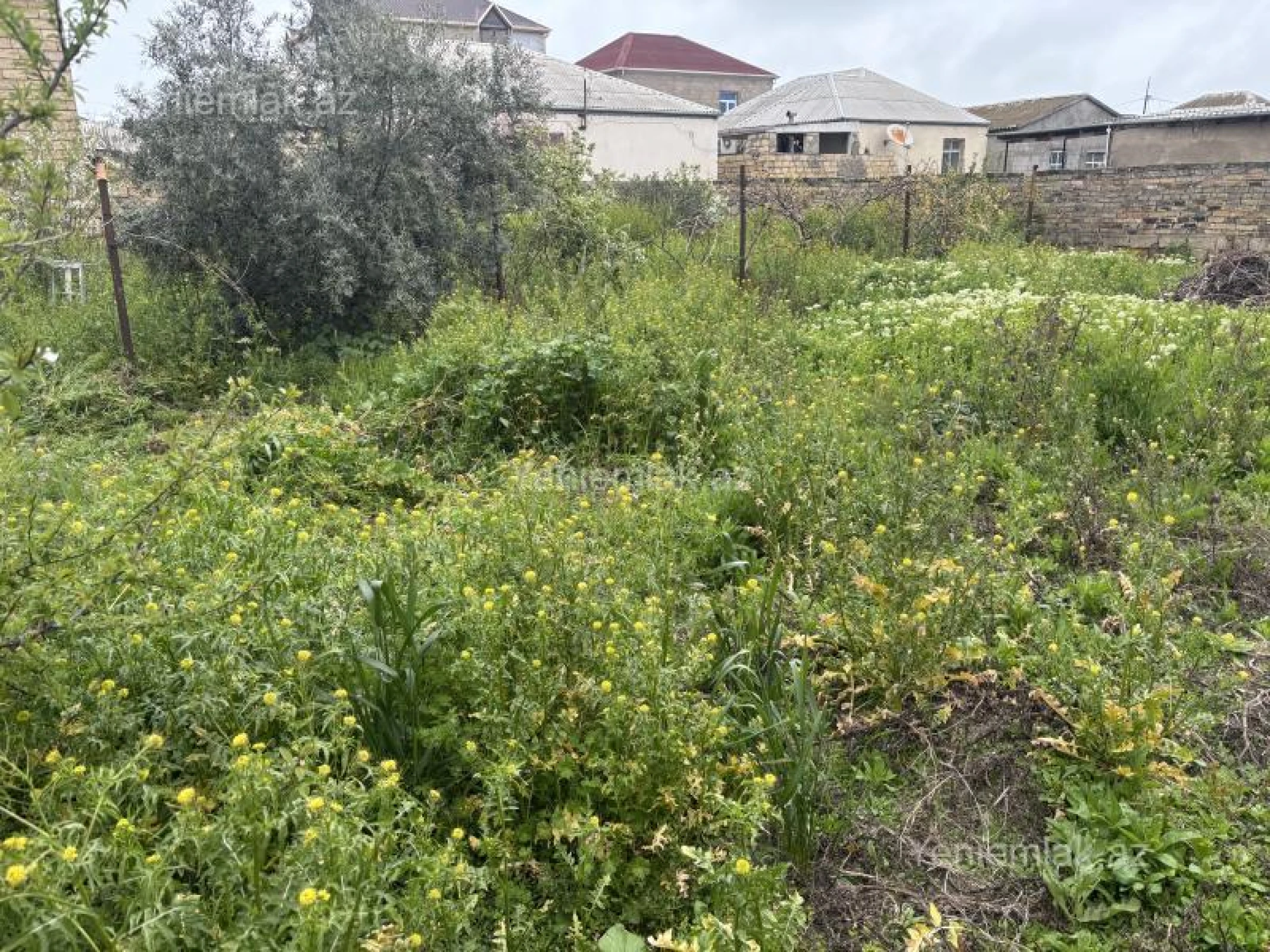 Satılır torpaq sahəsi