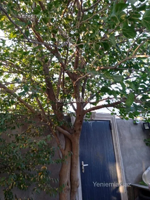 Satılır 4 otaqlı həyət evi 120 m²