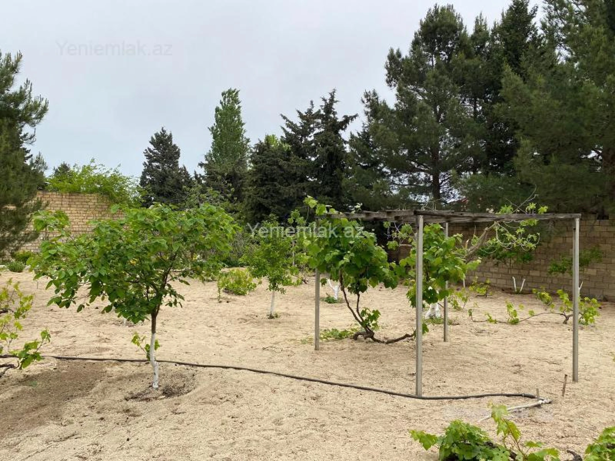 Satılır 7 otaqlı həyət evi 365 m²