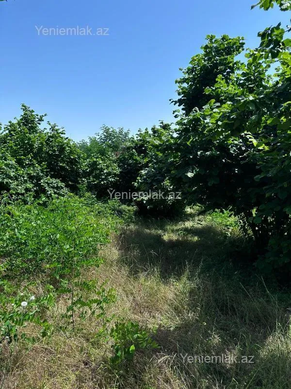 Satılır torpaq sahəsi