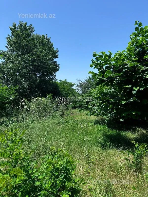 Satılır torpaq sahəsi