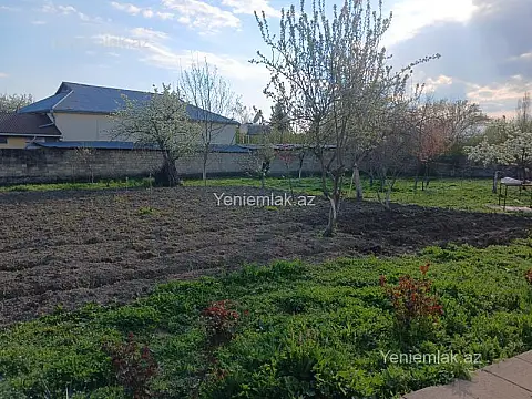 Satılır torpaq sahəsi — İsmayıllı