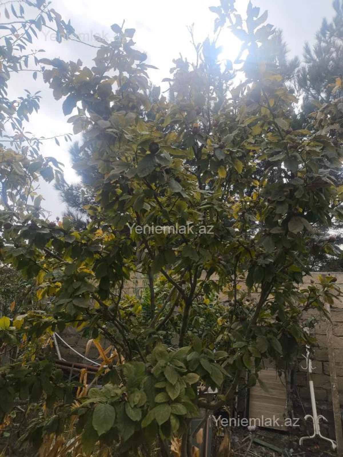 Satılır 6 otaqlı həyət evi 225 m²