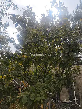 Satılır 6 otaqlı həyət evi 225 m²