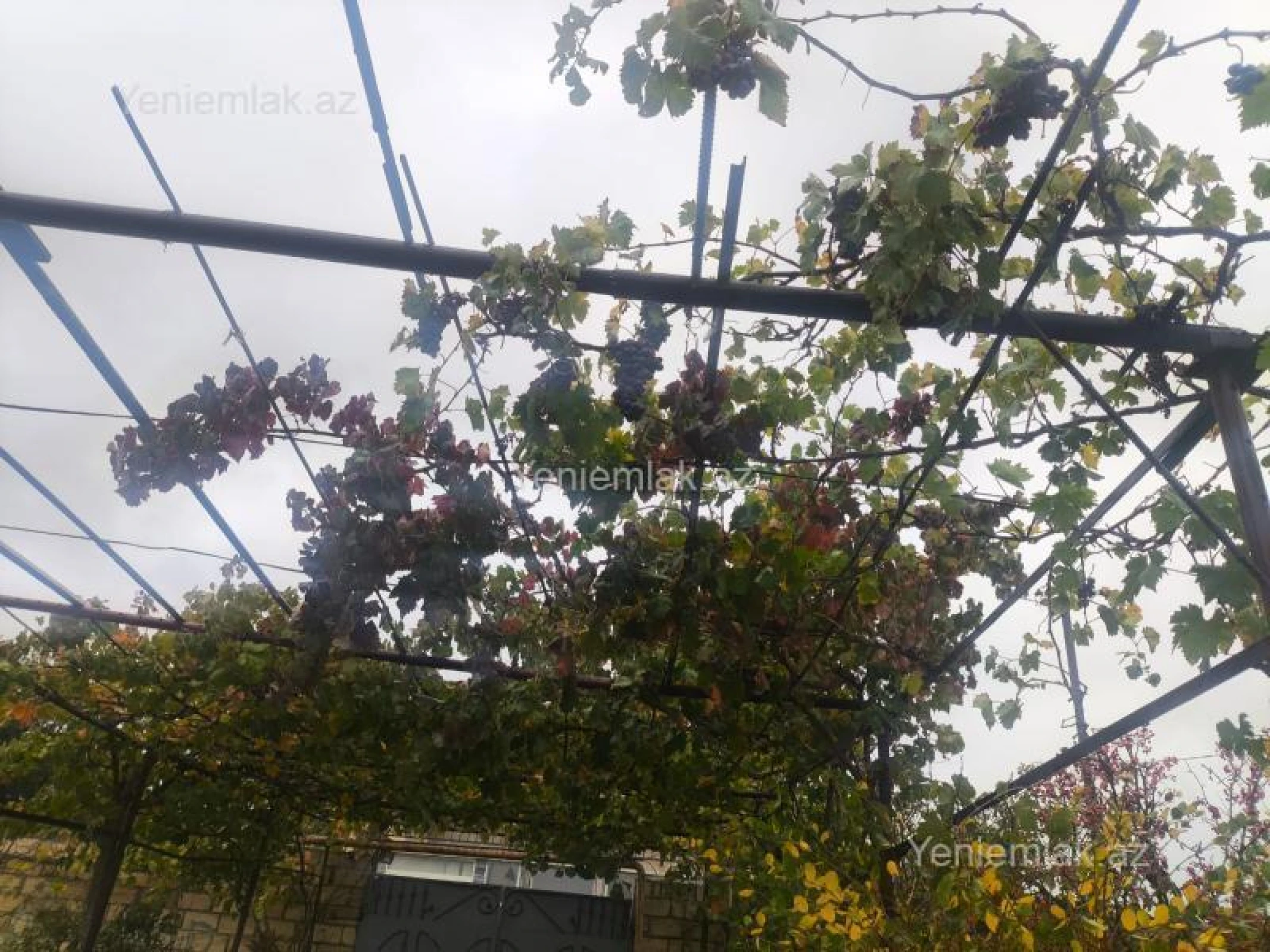 Satılır 6 otaqlı həyət evi 225 m²