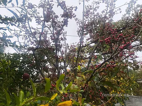 Satılır 6 otaqlı həyət evi 225 m²