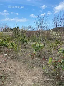 Satılır torpaq sahəsi