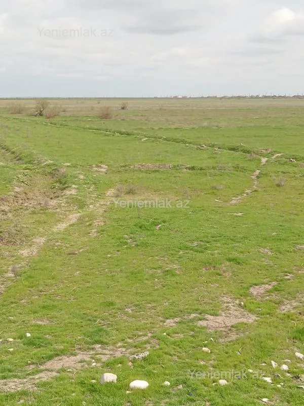 Satılır torpaq sahəsi