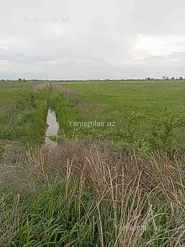 Satılır torpaq sahəsi — Kürdəmir