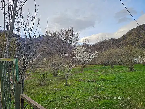 Satılır torpaq sahəsi — Qəbələ