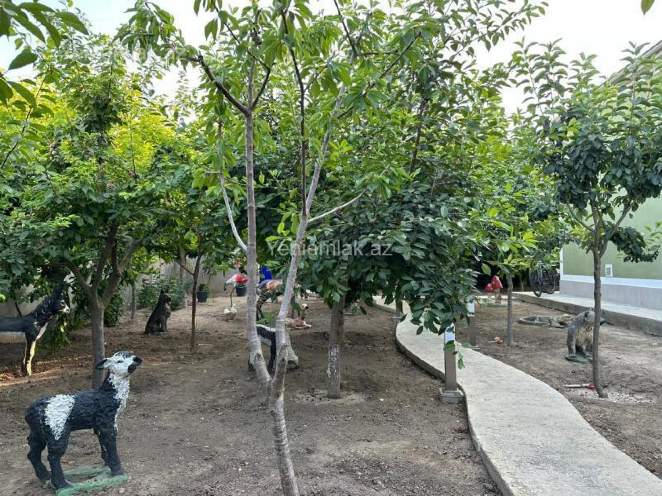 Satılır 5 otaqlı həyət evi 240 m²