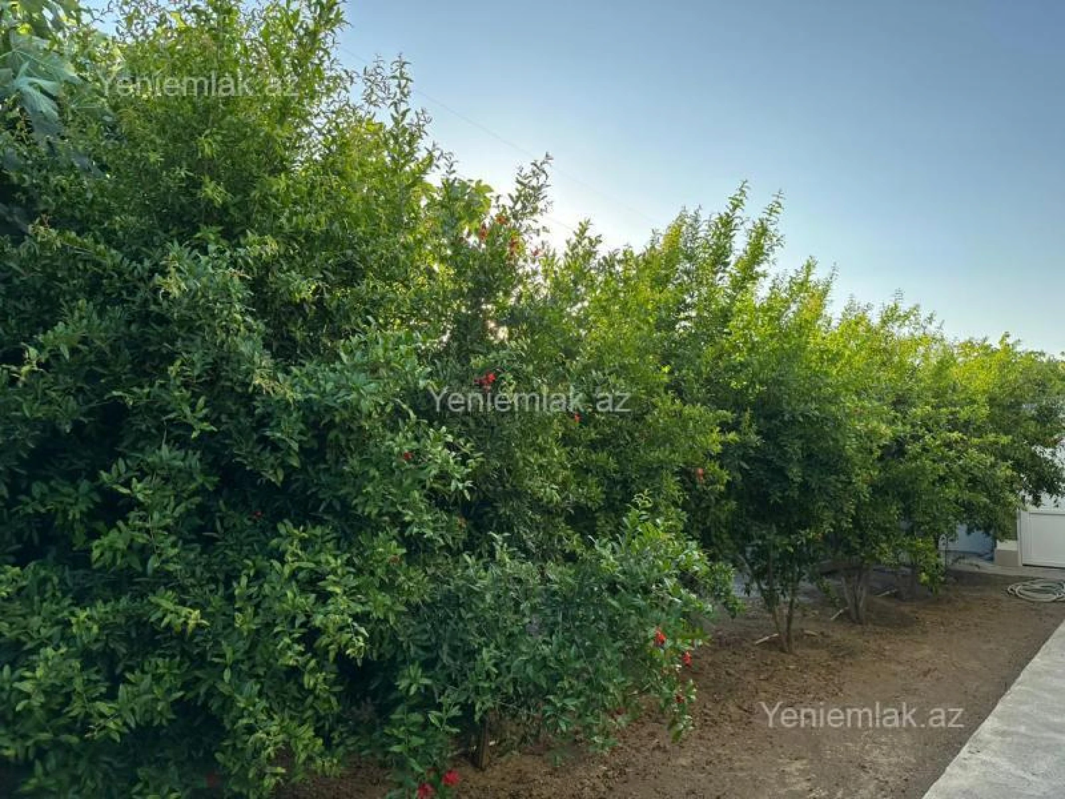 Satılır 5 otaqlı həyət evi 240 m²