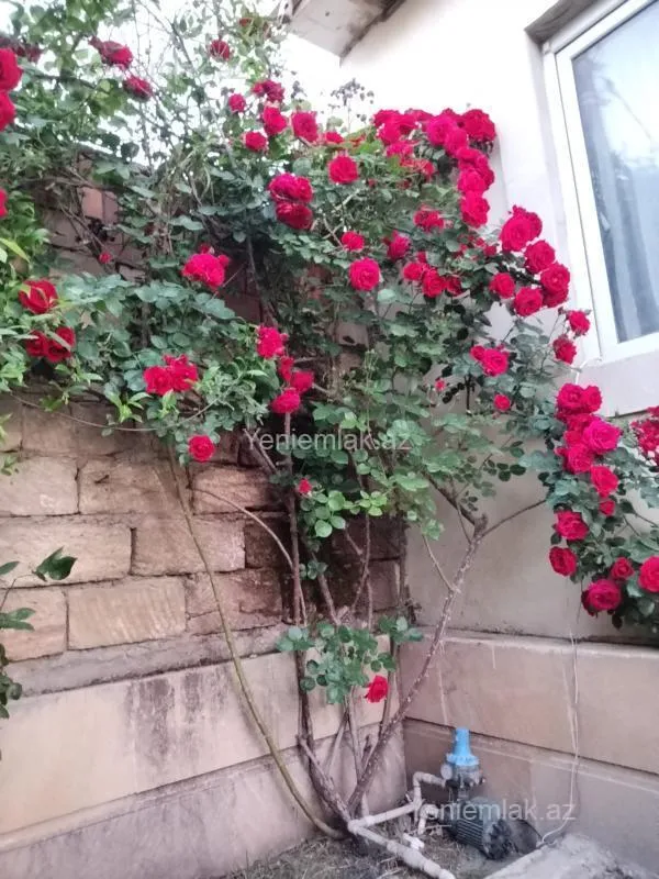 Satılır 4 otaqlı həyət evi 120 m²