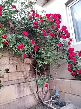 Satılır 4 otaqlı həyət evi 120 m²