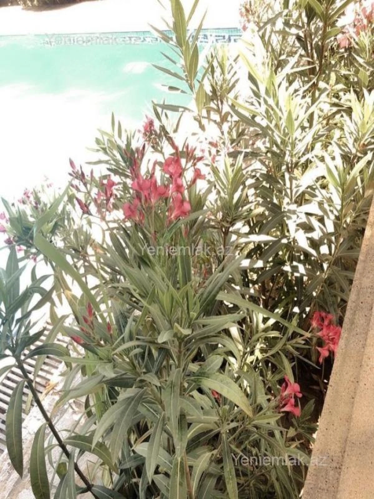 Satılır 7 otaqlı həyət evi 250 m²