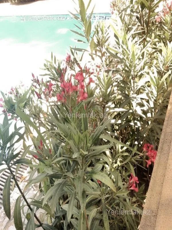 Satılır 7 otaqlı həyət evi 250 m²