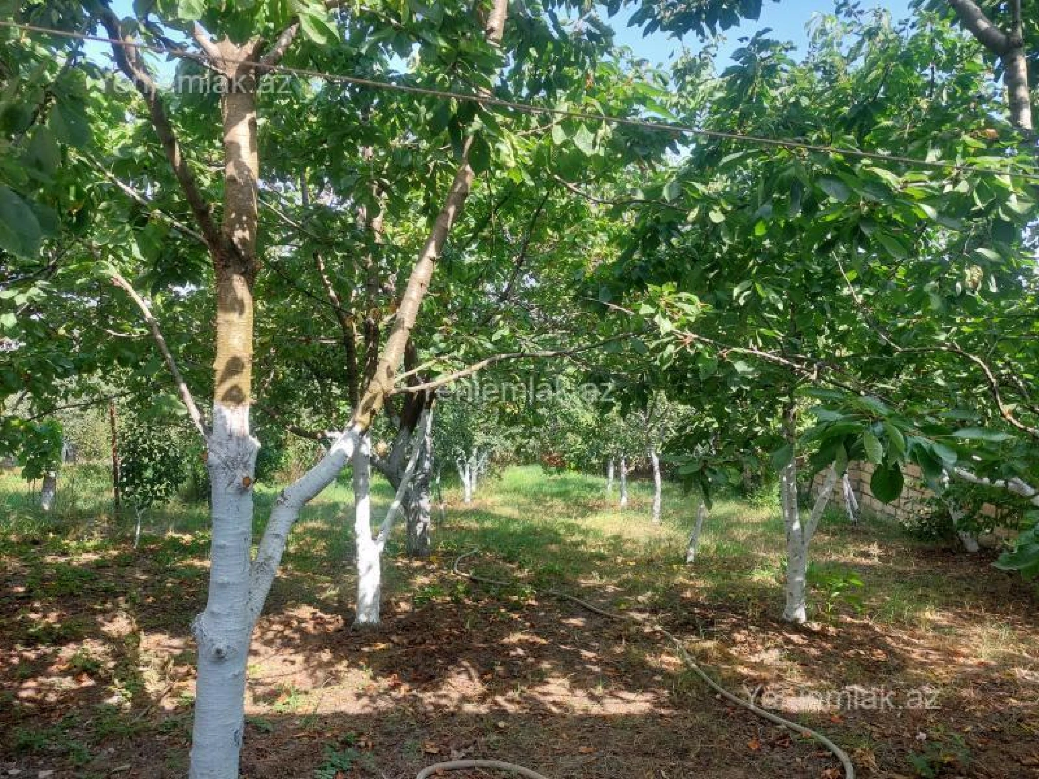 Satılır 4 otaqlı həyət evi 81.2 m²