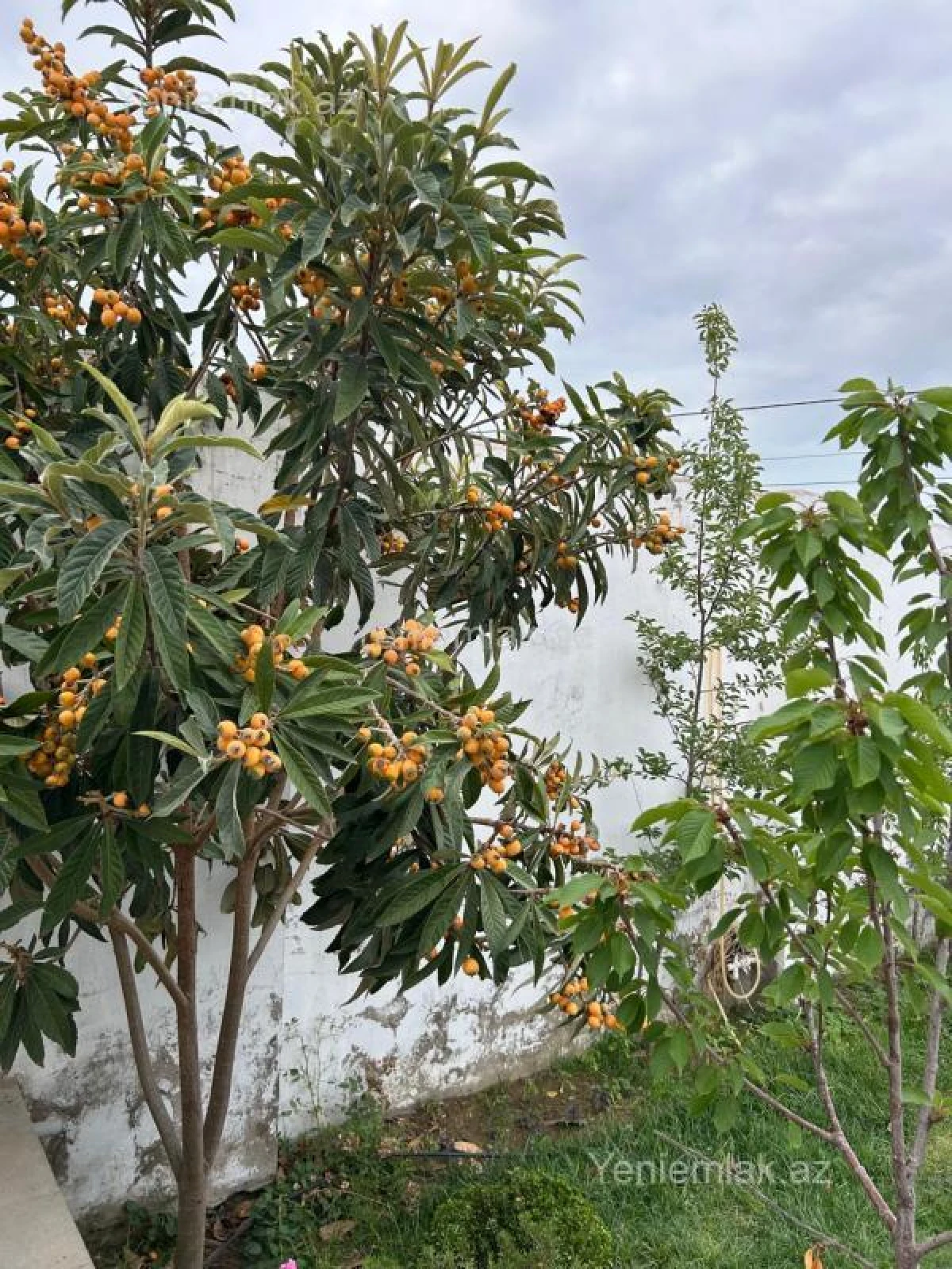 Satılır 5 otaqlı həyət evi 140 m²