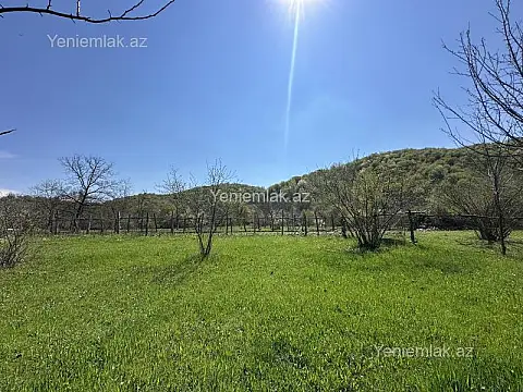 Satılır torpaq sahəsi — Qəbələ