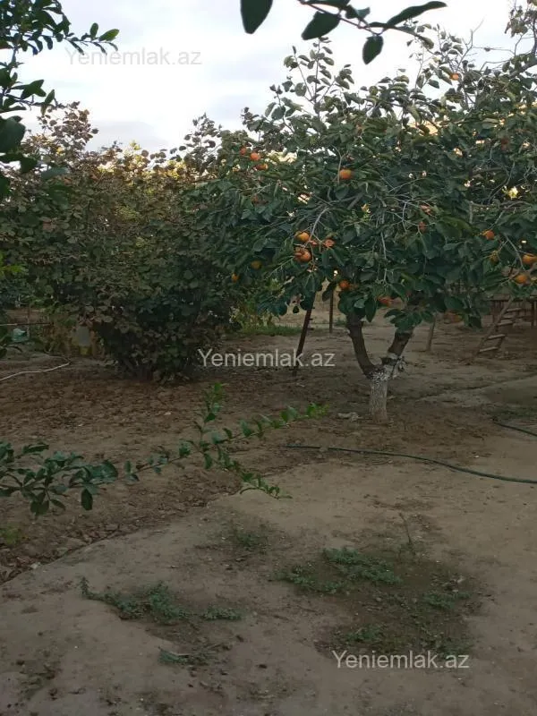 Satılır 7 otaqlı həyət evi 220 m²