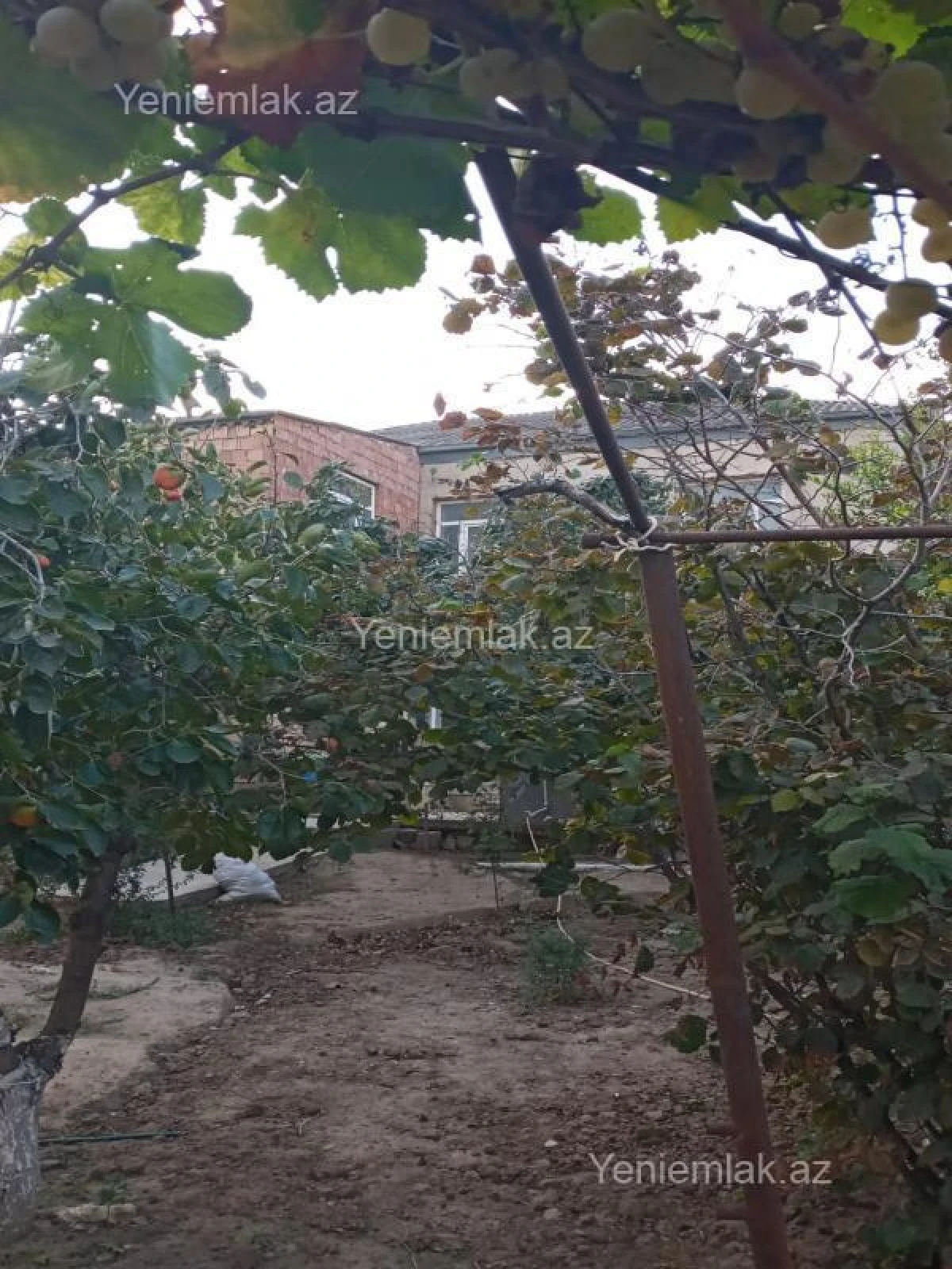 Satılır 7 otaqlı həyət evi 220 m²