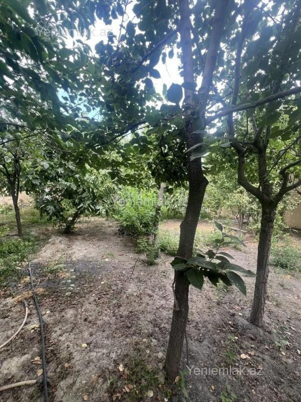 Satılır 3 otaqlı həyət evi 144 m²