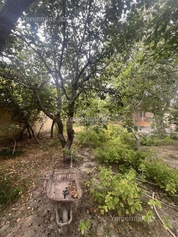 Satılır 3 otaqlı həyət evi 144 m²