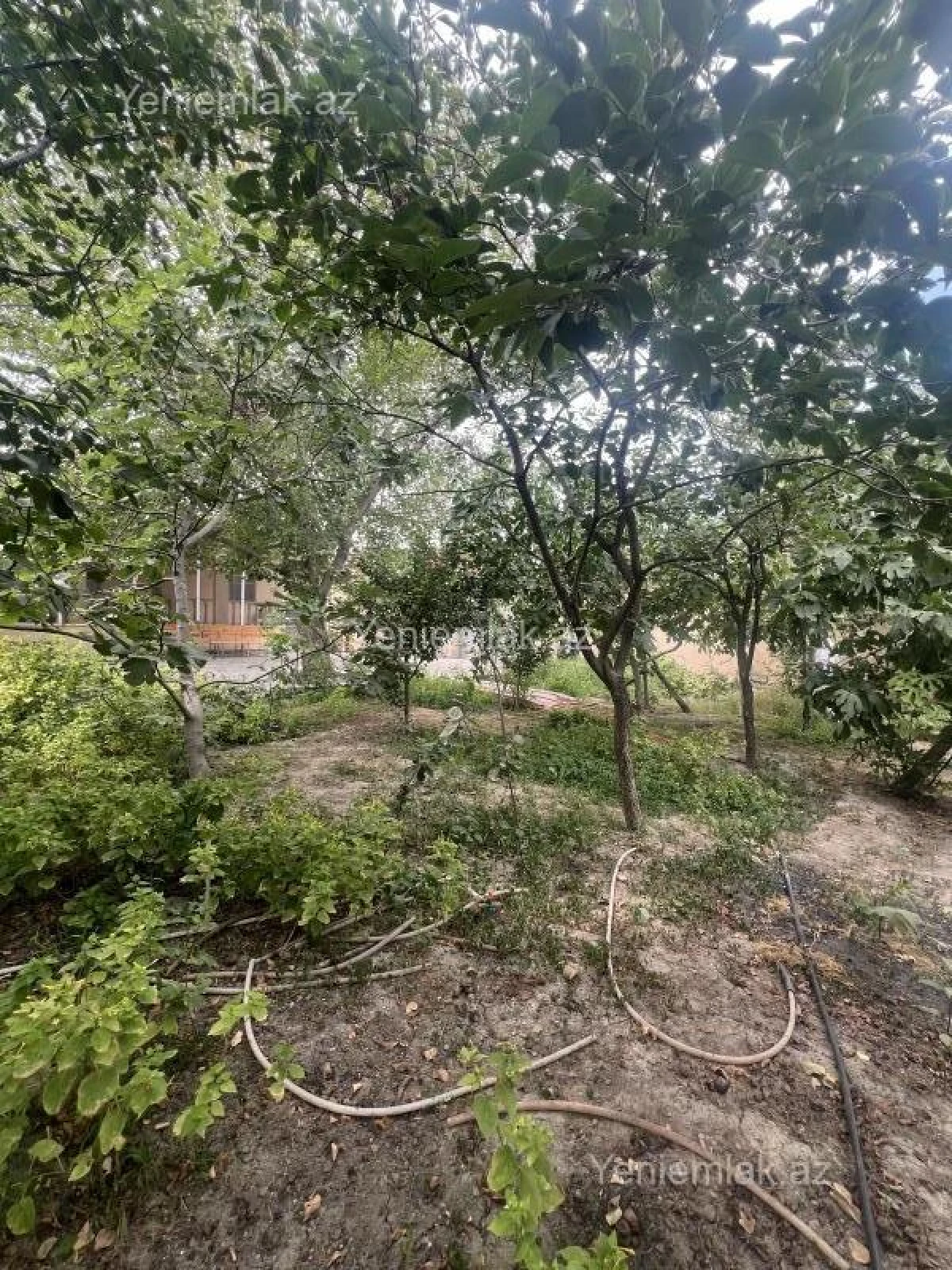 Satılır 3 otaqlı həyət evi 144 m²