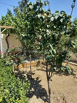 Satılır 3 otaqlı həyət evi 120 m²