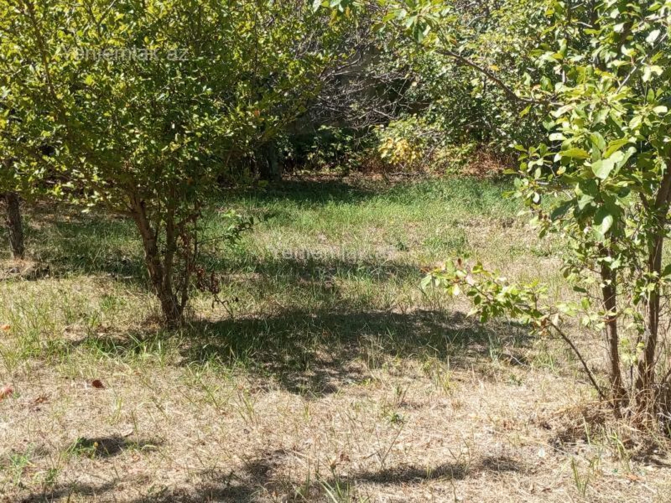 Satılır 4 otaqlı həyət evi 130 m²