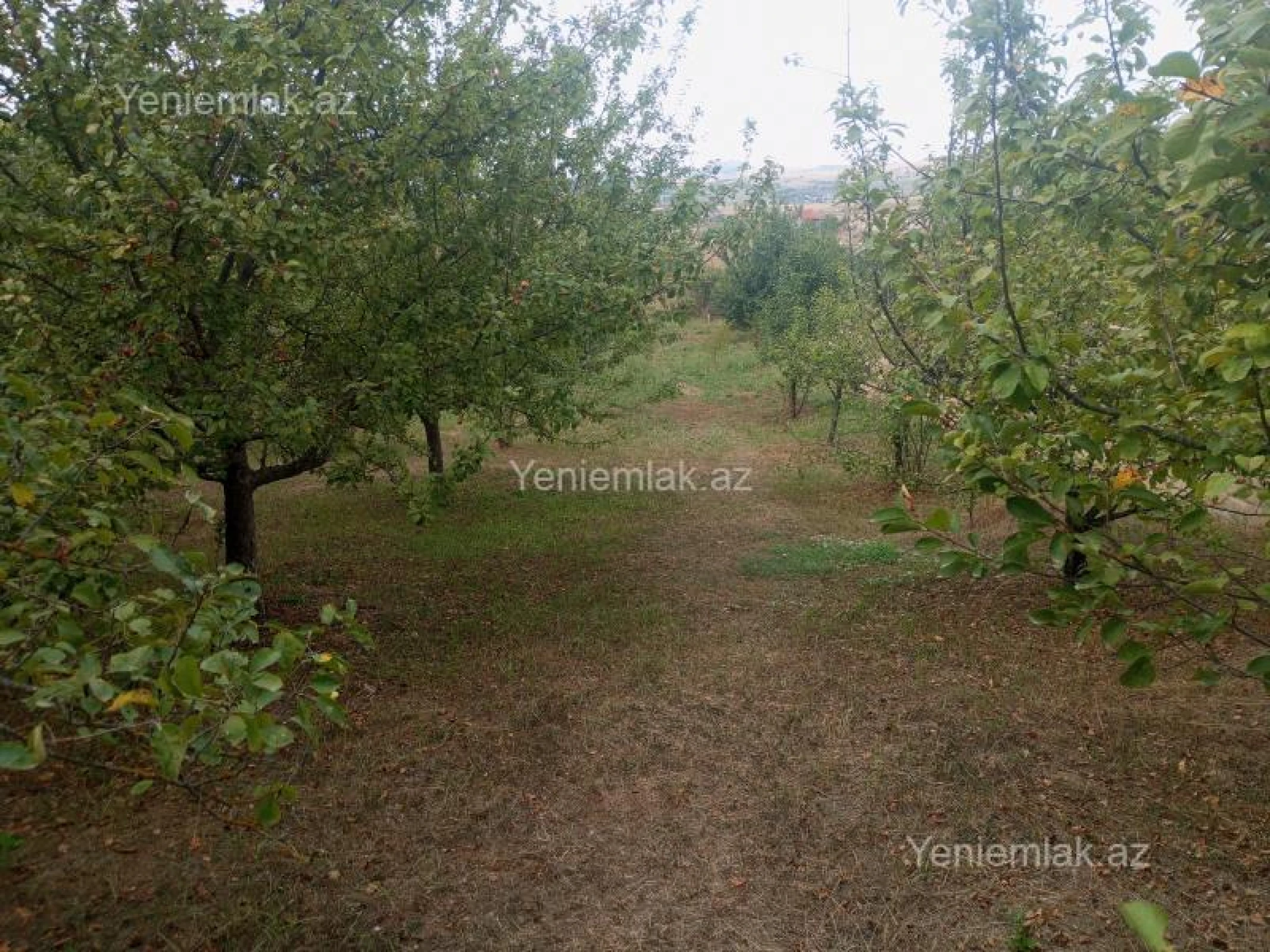 Satılır 4 otaqlı həyət evi 130 m²