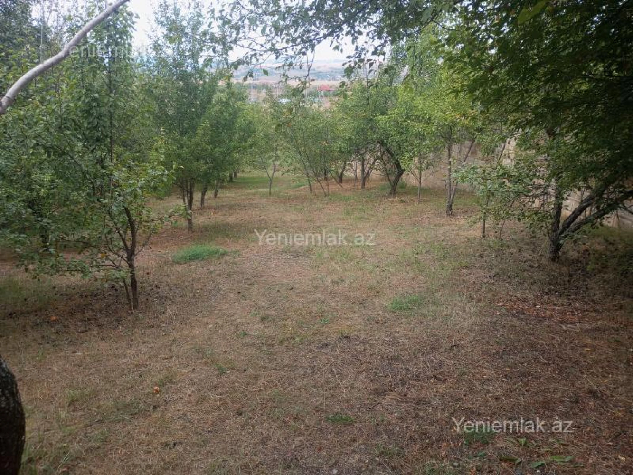 Satılır 4 otaqlı həyət evi 130 m²