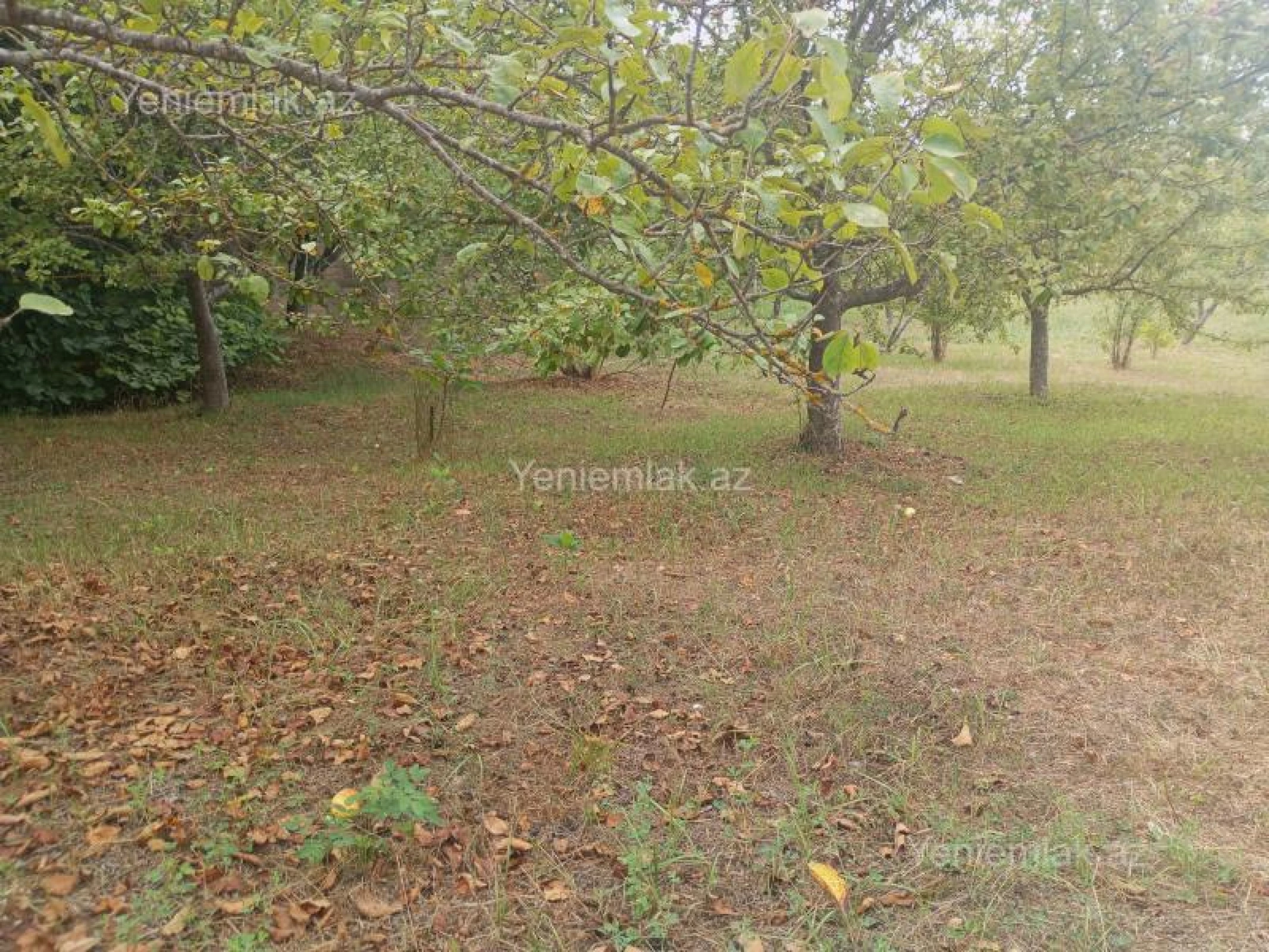 Satılır 4 otaqlı həyət evi 130 m²