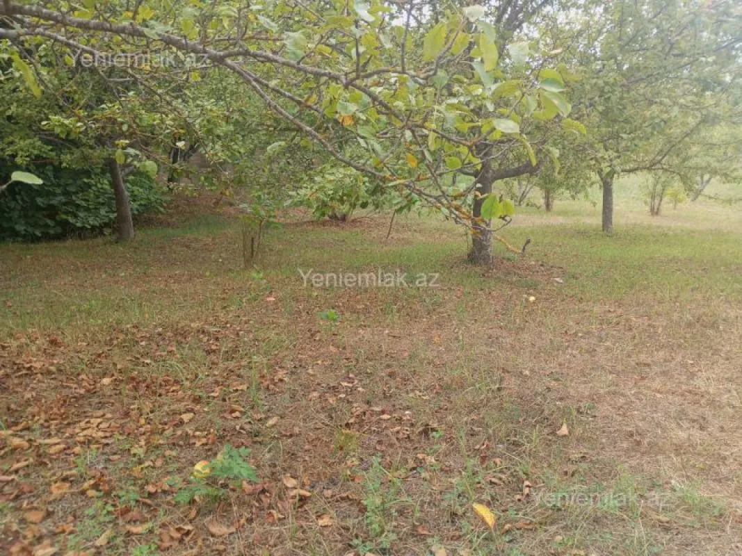 Satılır 4 otaqlı həyət evi 130 m²