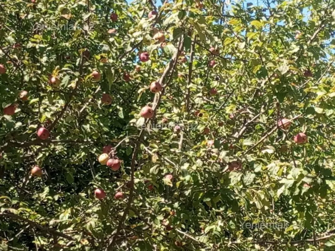 Satılır 4 otaqlı həyət evi 130 m²