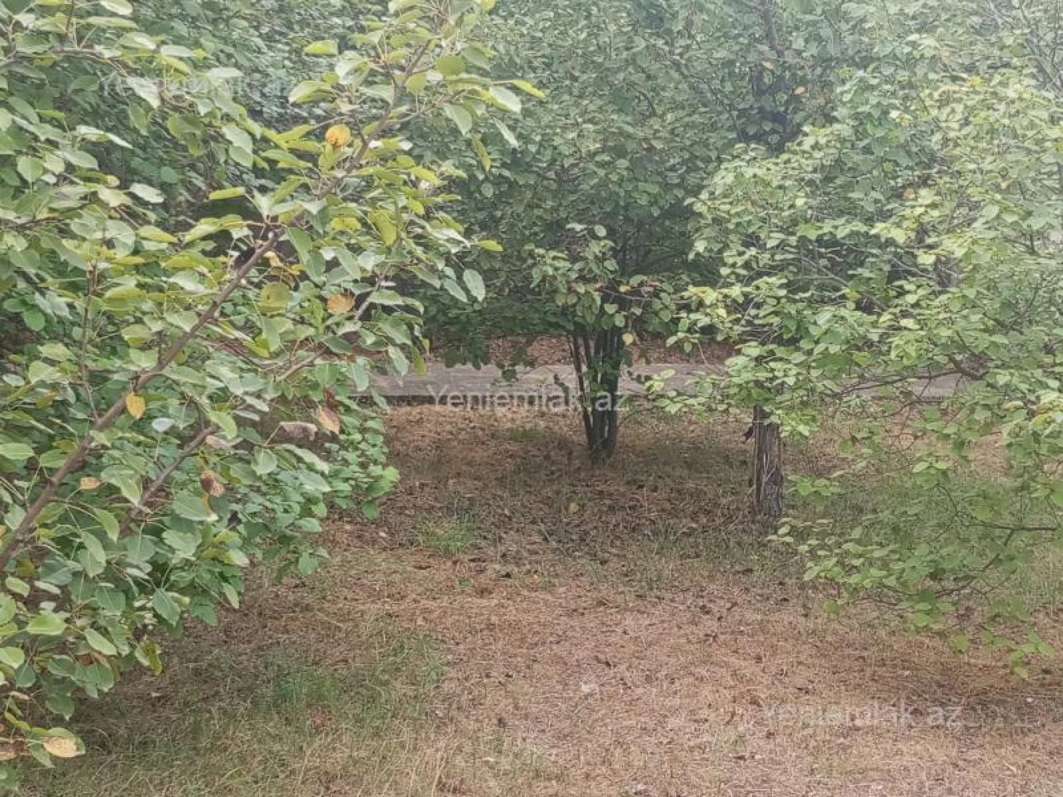 Satılır 4 otaqlı həyət evi 130 m²