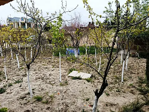 Satılır 5 otaqlı həyət evi 250 m²