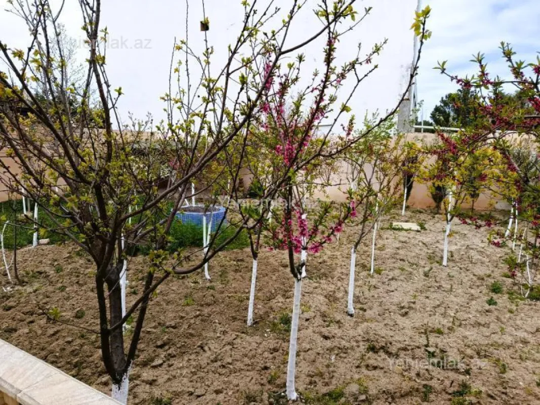 Satılır 5 otaqlı həyət evi 250 m²