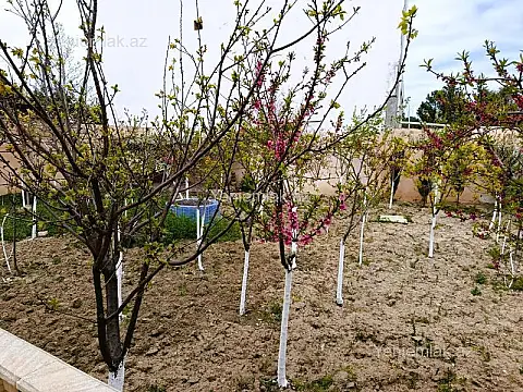 Satılır 5 otaqlı həyət evi 250 m²