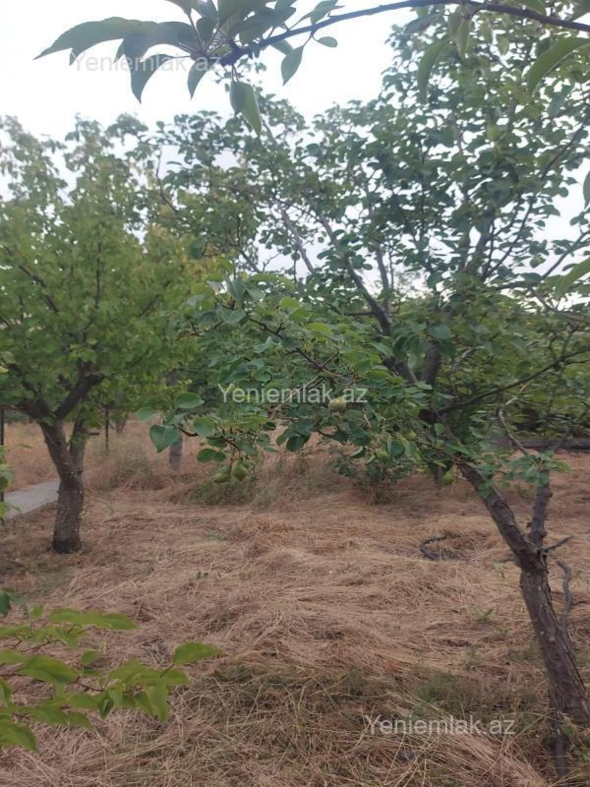 Satılır 6 otaqlı həyət evi 250 m²