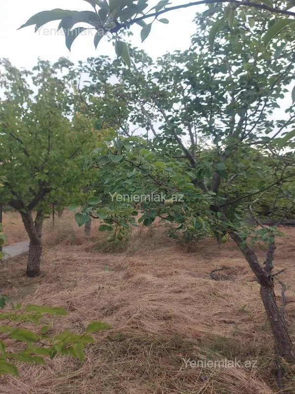 Satılır 6 otaqlı həyət evi 250 m²