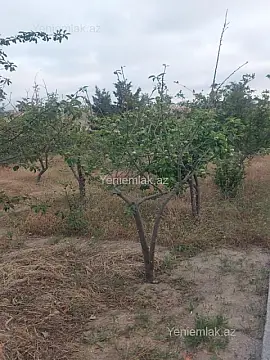 Satılır 6 otaqlı həyət evi 250 m²