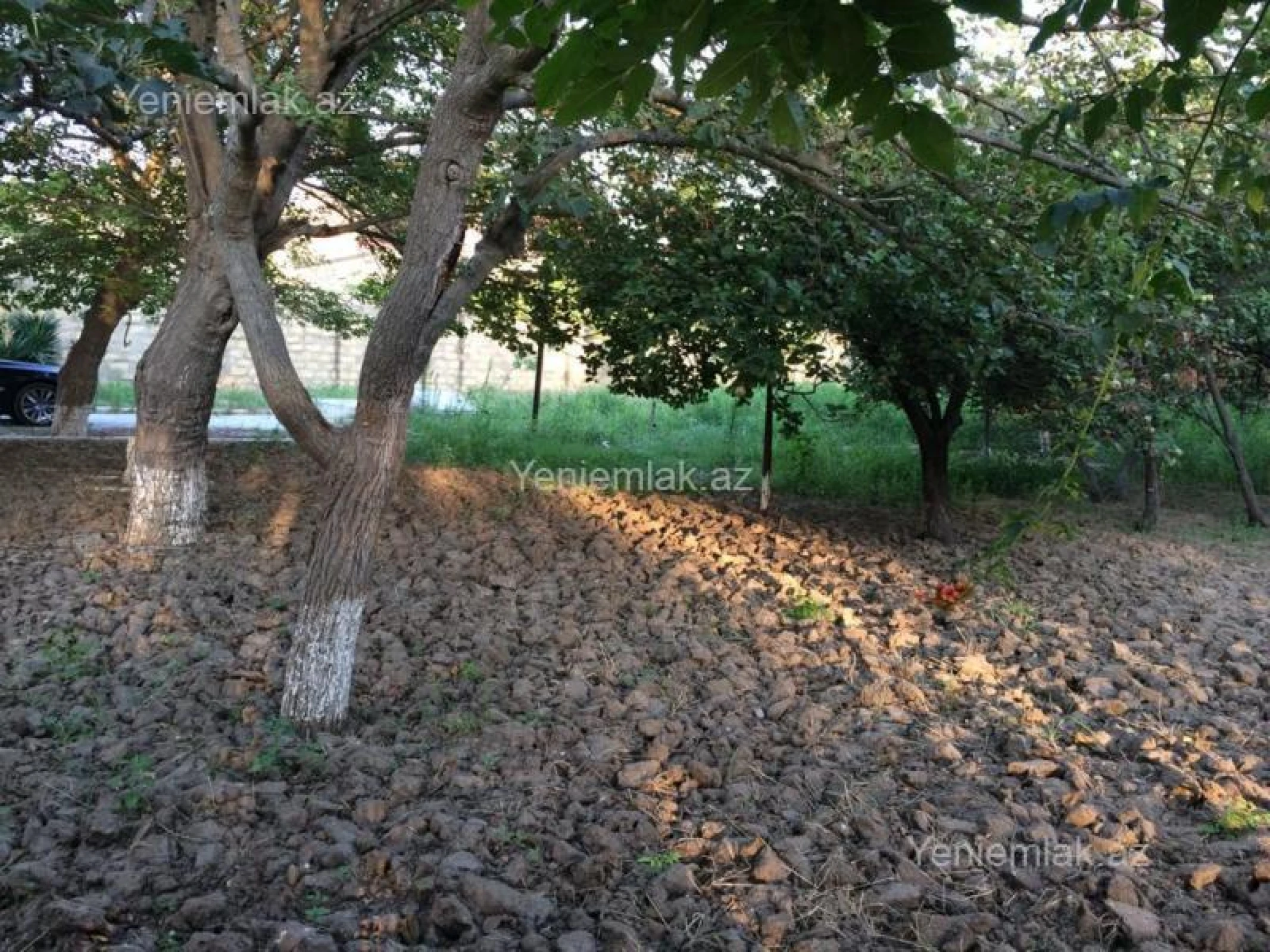 Satılır 5 otaqlı həyət evi 240 m²