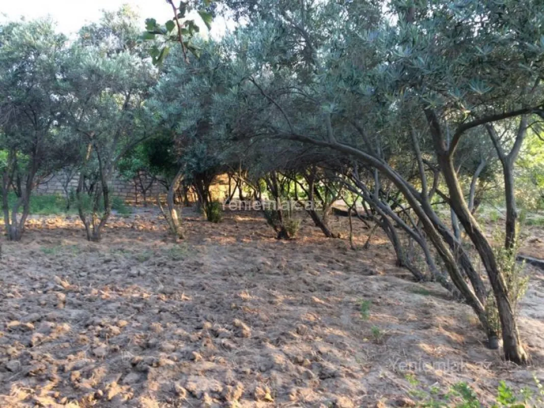 Satılır 5 otaqlı həyət evi 240 m²