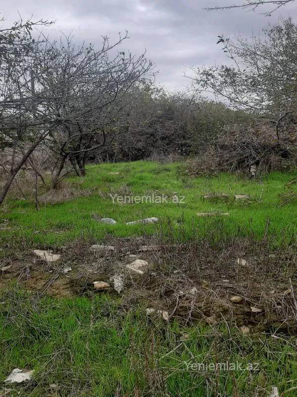 Satılır torpaq sahəsi