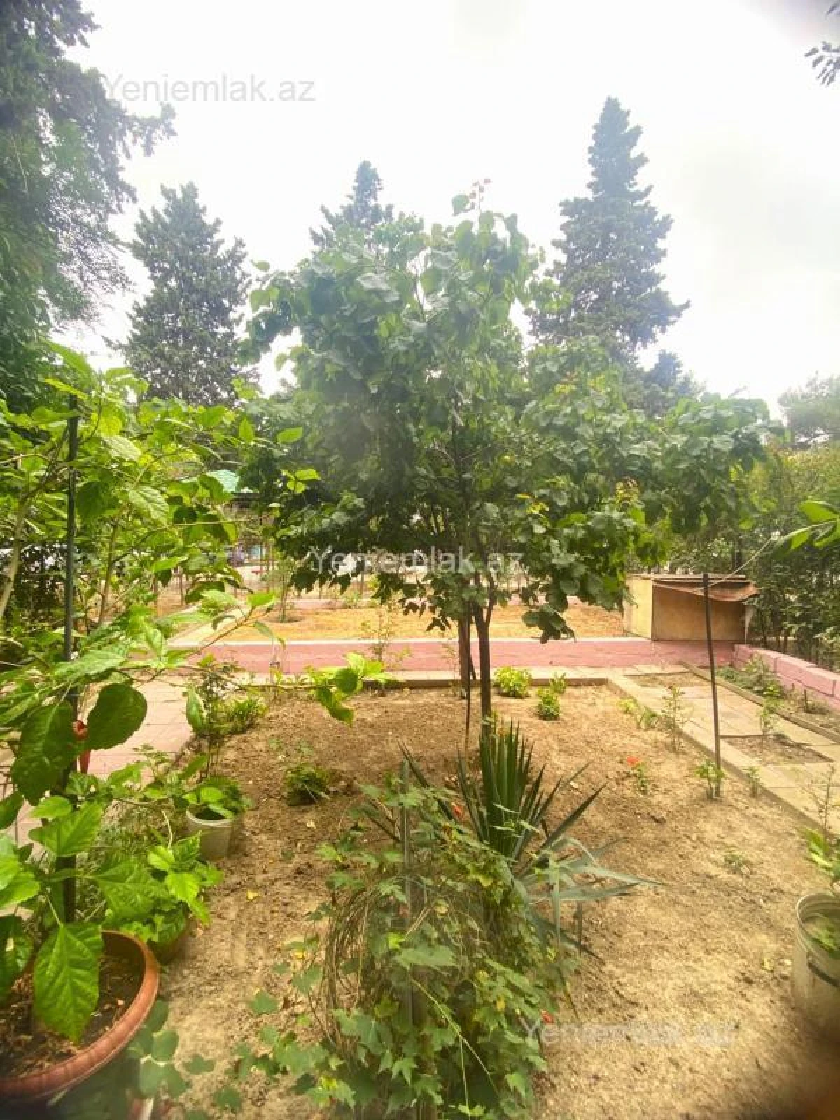 Satılır 3 otaqlı köhnə tikili 90 m²