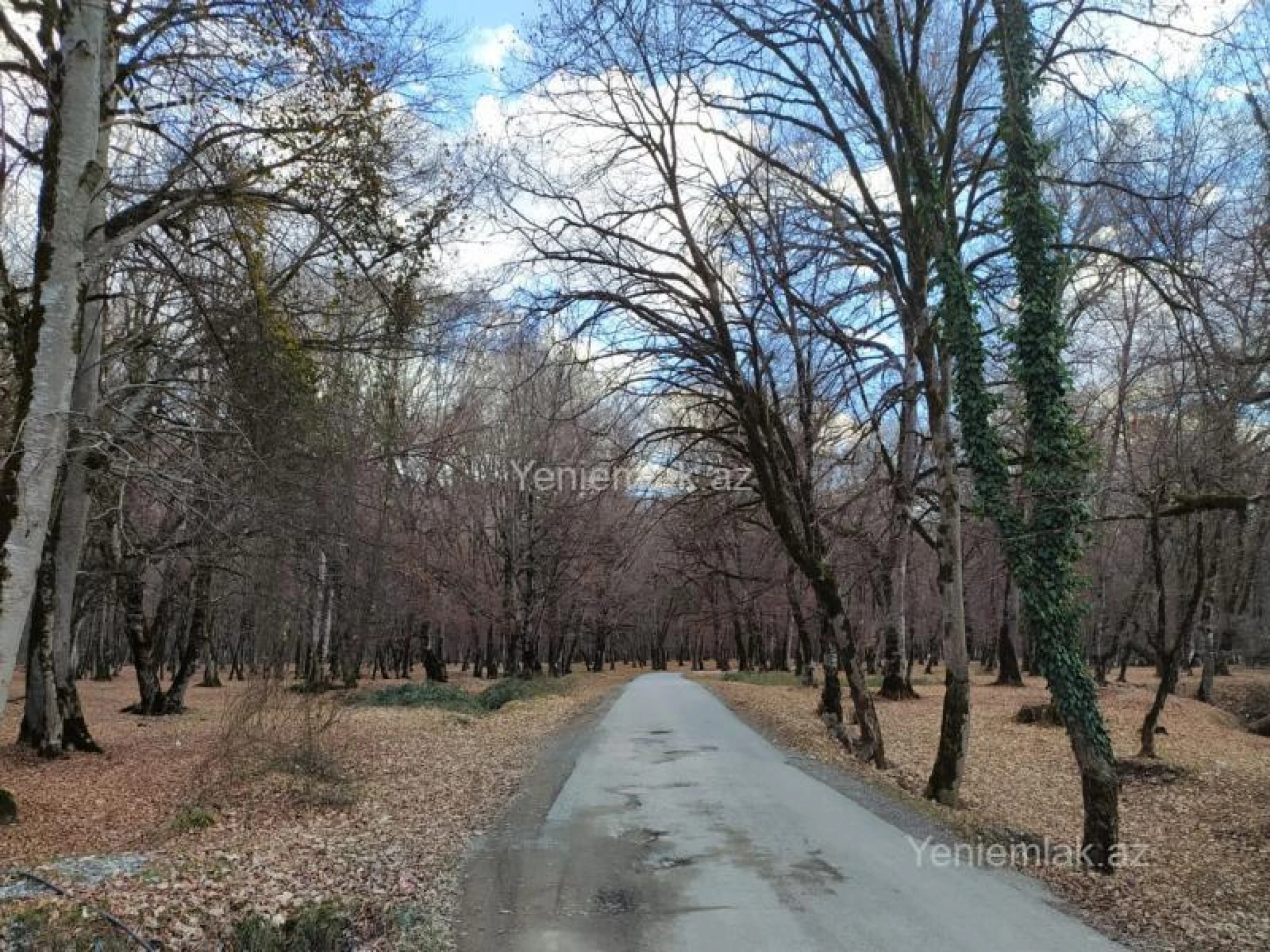 Satılır 7 otaqlı obyekt 150 m²