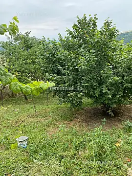 Satılır 3 otaqlı həyət evi 80 m²
