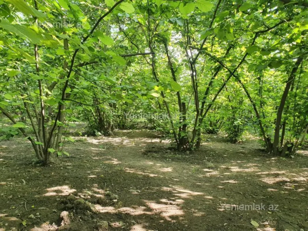 Satılır 5 otaqlı həyət evi 158.3 m²